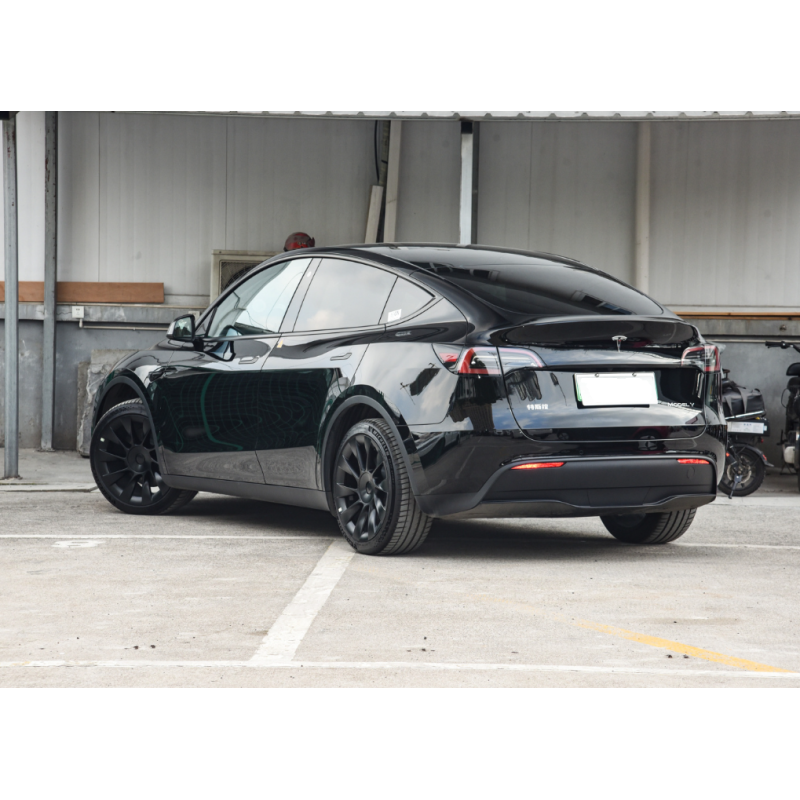 Tesla Model Y Electric Vehicle with 217km/h Top Speed and 100% Electric Energy Type