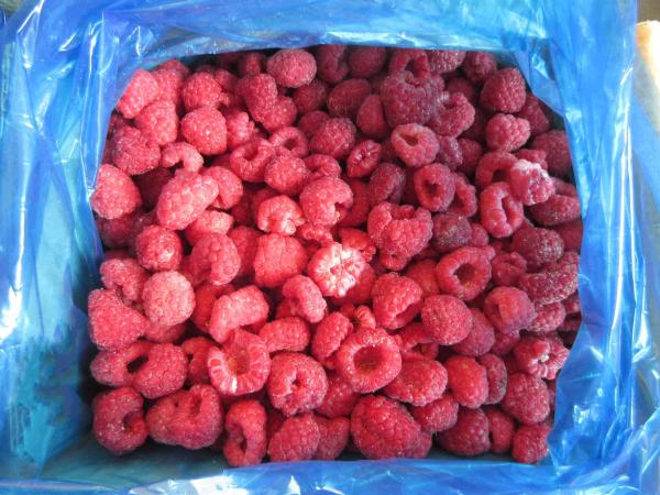 Framboises congelées en vrac de haute qualité Framboises congelées en vrac Emballage de fruits