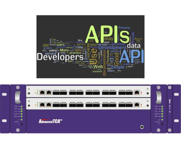 API Network Traffic Monitor Packet Data Broker Integrated Application Programming Interface