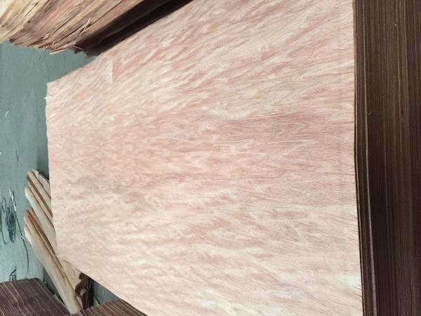 Bintangor veneer