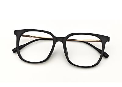 Ultralight Beta Titanium+TR Glasses Adjustable Unisex ZTO 1019
