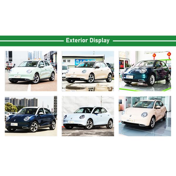 Eléctrico Funky Good Ev Ora Cat Coche compacto Unky Cat Lujo Ternario Batería de litio Ev 2024 Mini Vehículo Energético de alta velocidad