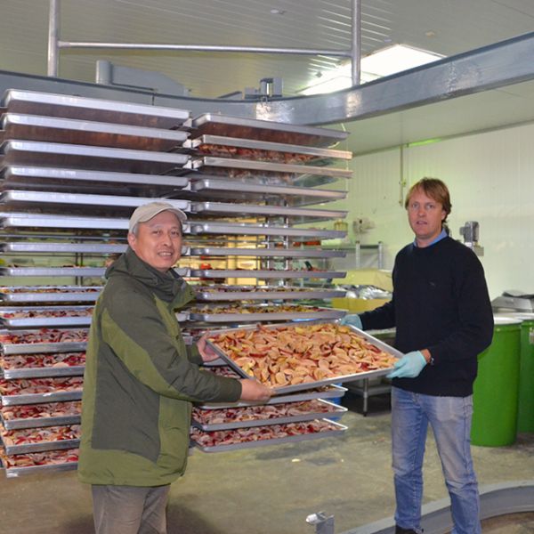 Многошаговое оборудование засыхания 15kg/Batch замораживания вакуума плода дракона