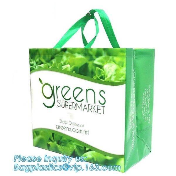Classical non woven bag sando bags printable, Shortest lead time lowest price sample free foldable shoppingbag non woven