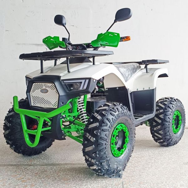 Kids and Adults 50CC Off-Road Gasoline Motorcycle 2-Stroke ATV with Passenger Seat
