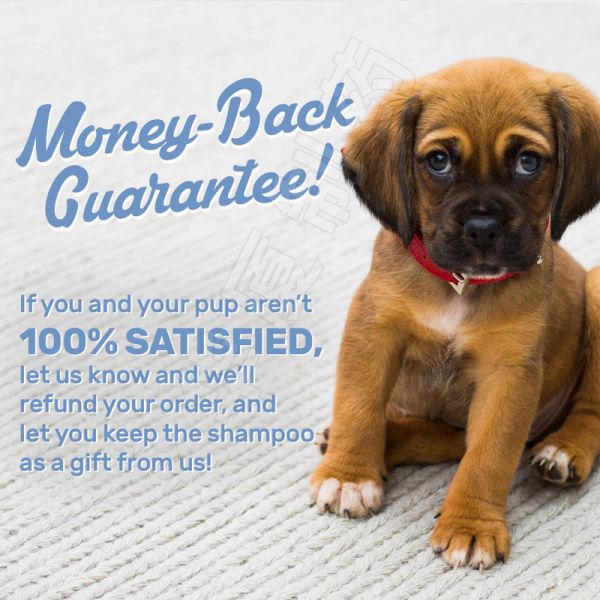 Oatmeal Aloe Pet Care Shampoo Shea Butter for Smelly Dogs Dry Itchy Skin