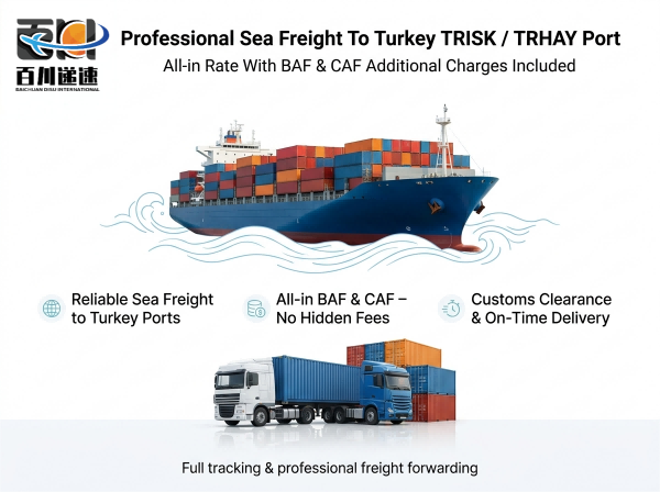 Professional Sea Freight To Turkey TRISK / TRHAY Port All-in Rate With BAF / CAF Additional Charges Included