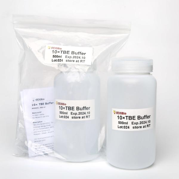 0.5L DNA Electrophoresis Buffer 10X TBE Transparent Color