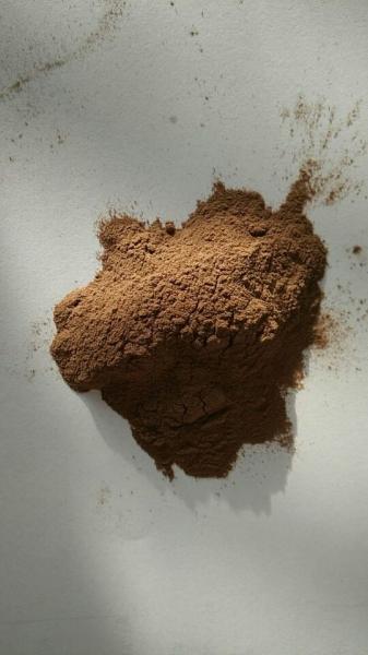 100% pure natural kacip fatimah extract/sex pruduct/kacip fatimah extract powder