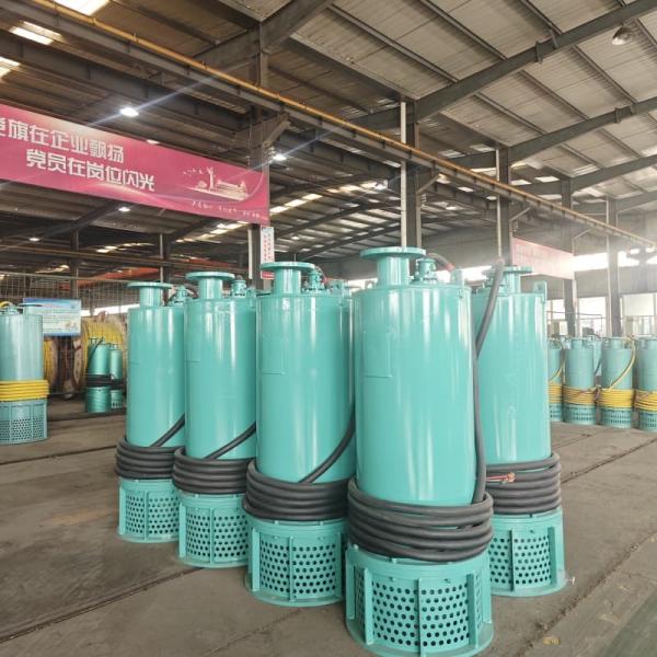 11kw Reliable Submersible Pump For Sewage Treatment Plant Drainage