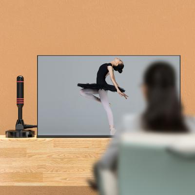 Indoor Outdoor Satellite Amplified Digital Hdtv Car Tv Antenna for 75Ω Input Impendence
