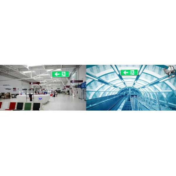 Luz de emergencia antipánico LED para salida de emergencia IP66 para hotel, verde, centro comercial, estación de tren, escuela, supermercado