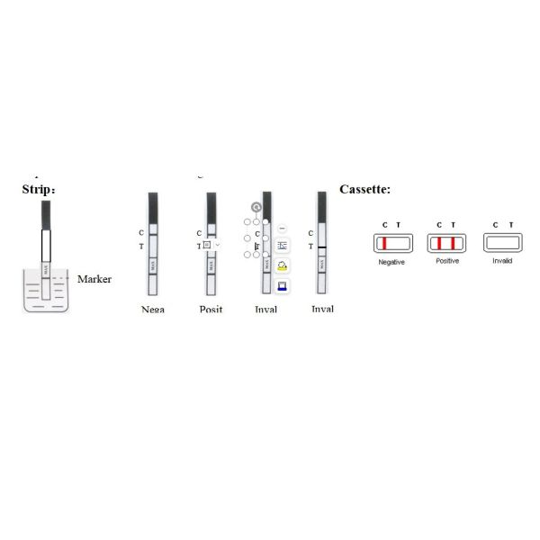 OEM Troponin  CTn I Rapid Test Kit Pathological Analysis Equipment