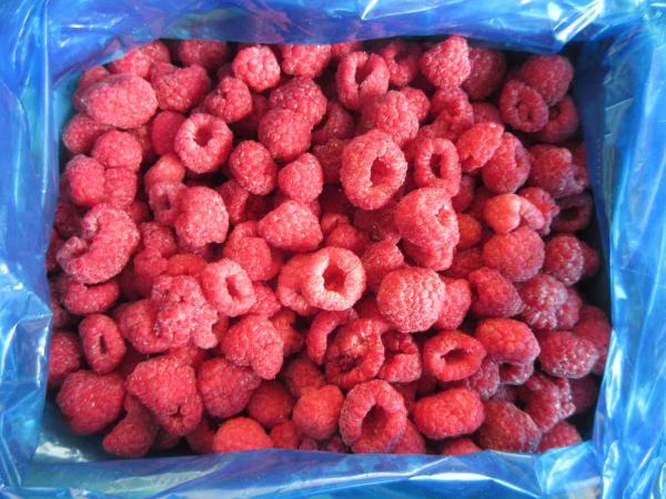 Framboises congelées en vrac de haute qualité Framboises congelées en vrac Emballage de fruits