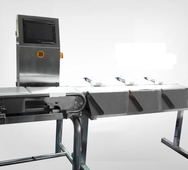 Verificador de peso de baixo nível de ruído do transporte, máquina de classificação automática com multi categorias de classificação