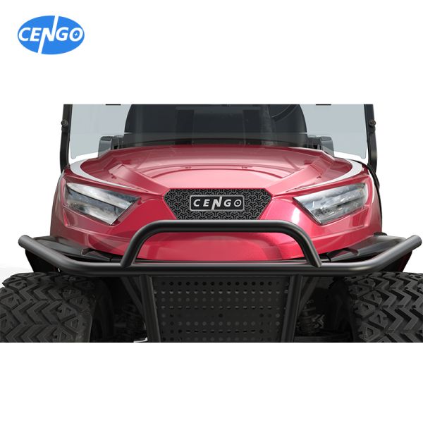 Carro de golf legal de la calle NL-JA4 2.G Buggy eléctrico para el club turístico 10% Capacidad de escalada 30Km/h Máxima velocidad