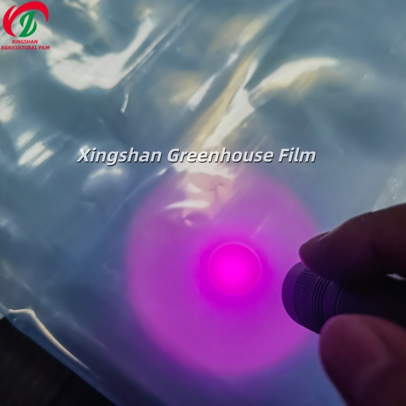 Transparent Greenhouse Plastic UV Resistant Thermal Insulation Agricultural Covering Film