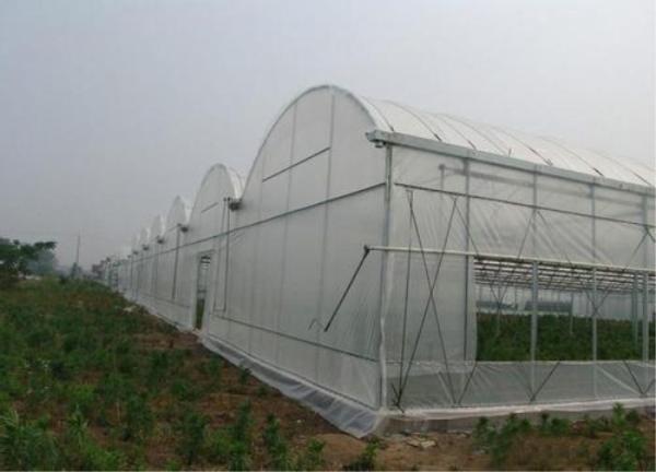 Customized Insect Mesh Netting Hail Damage Protection 30 To 125 G/M2 Weight