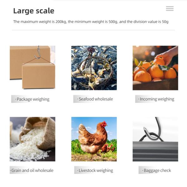 OEM personnalisable 200 kg Capacité lourde en acier inoxydable balances à crochet suspendu Balance personnelle numérique intelligente