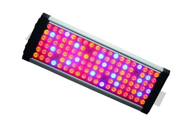 IP65 Water Proof LED Grow Panel Light , Full Spectrum Grow Lamp 240 Watt