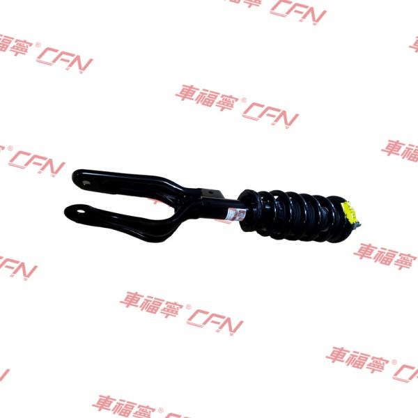 Front Left Shock Absorber Strut Assembly Fit Tesla Model 3  Model Y 17-23 1044363-04-B