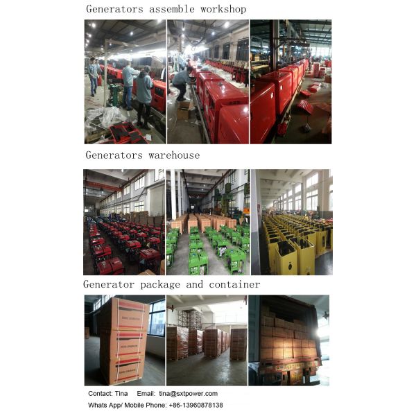 el aire ultra silencioso eléctrico portátil del generador 12kw refrescó el motor diesel de 2 cilindros