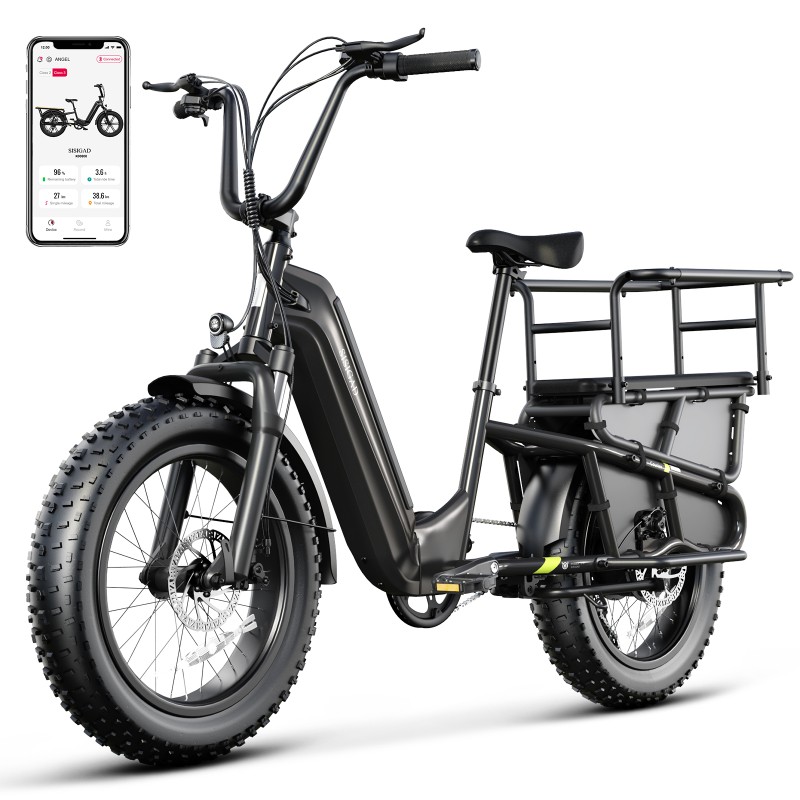 OEM Long Tail Cargo Ebike Wholesale 48v 1500w Dual Suspension Electric Cargo Bike Electric Hybrid Bicycle with 3.0 Fat Tire