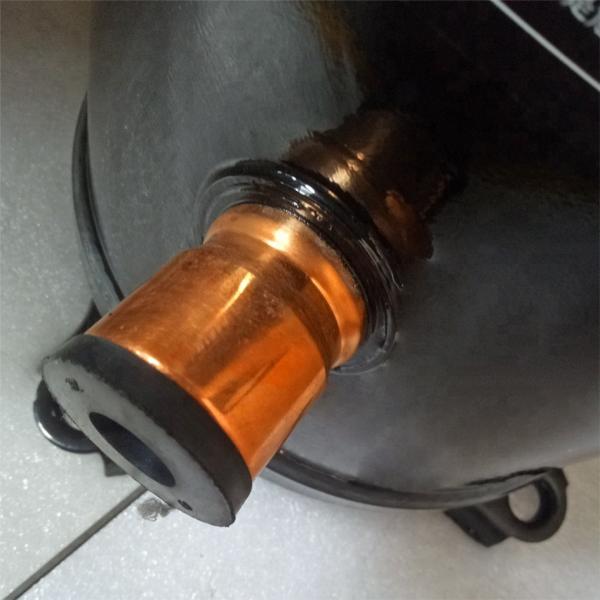 Compressor lubrificado Eco do armazenamento frio - poluição de ruído Zr61kc-Tfd de Frienldy não