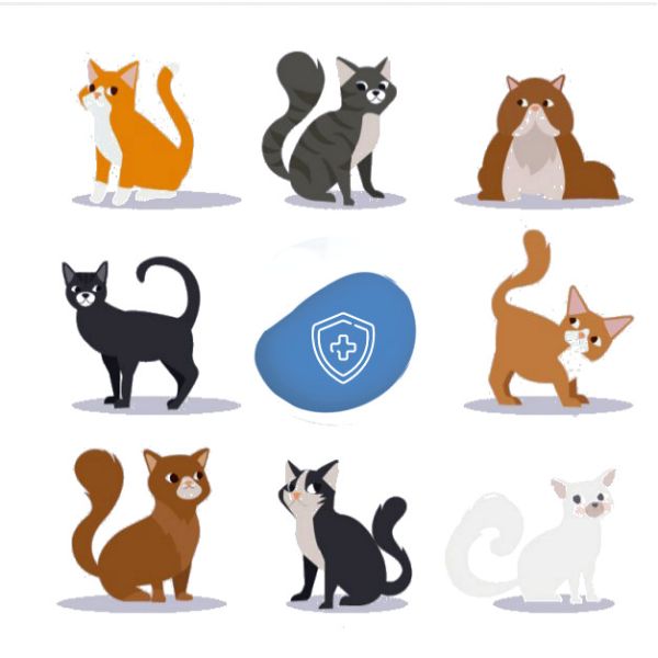 Машина 280kPa-600kPa наркотизации ВЕТЕРИНАРА высокой точности DM6D животная