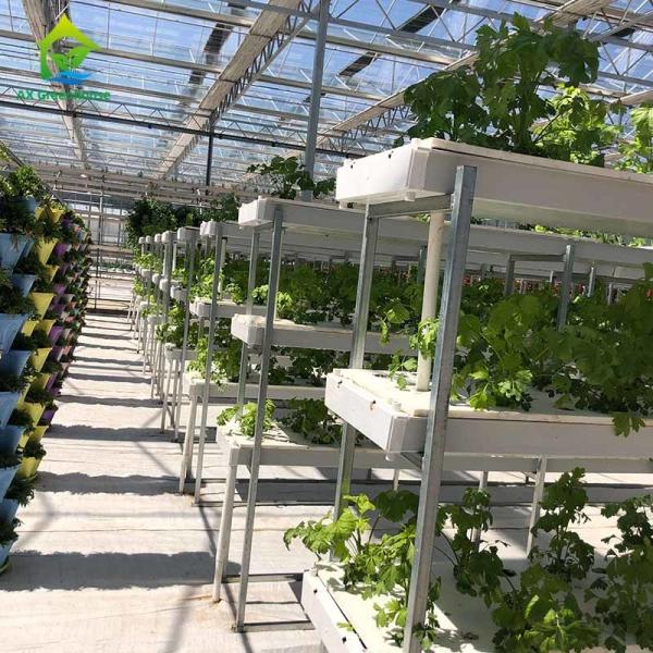 Equipamento de cultivo hidropônico de jardinagem Soilless personalizado do vertical dos sistemas