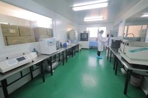 Xinyang Yihe Non-Woven Co., Ltd.