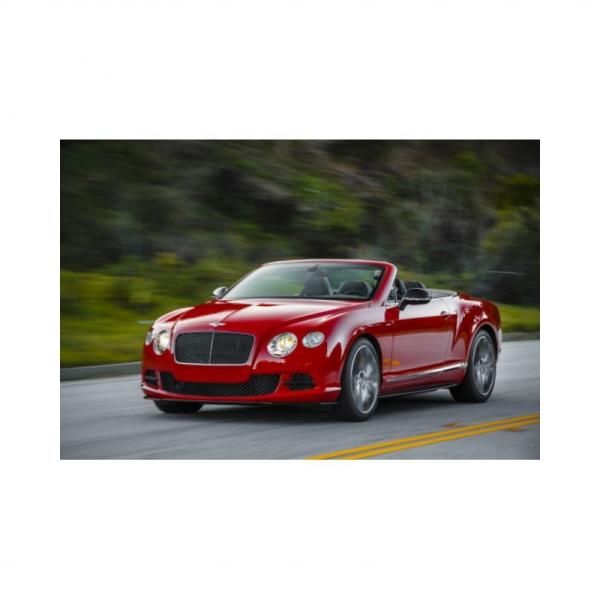 Front Bumper Net 3w3 807 647/648 The Perfect Fit For Your Bentley Continental GT GTC