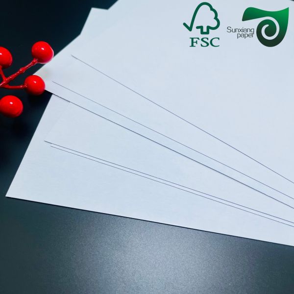 250g 300g Carton d'art revêtu de deux côtés fini mat pour les calendriers FSC