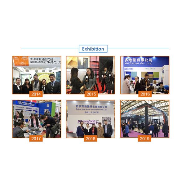 5.5lb Pile Weight Custom Logo Mats for Modern Living Room Carpets and Nylon Pile