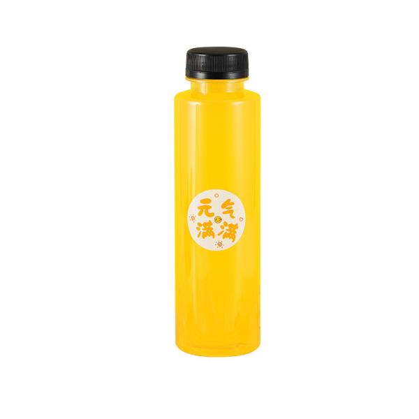Insulated Milk Tea Bottles Leakproof Beverage Jugs