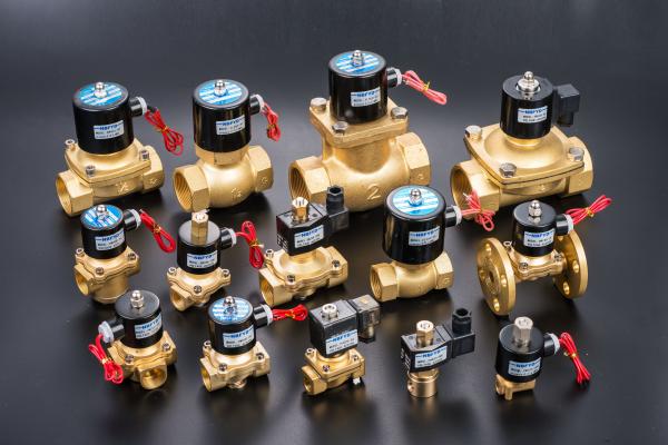 Hydraulic Electric Brass Solenoid Valve 12V 24V 110V 220V AC DC Water Copper Coil
