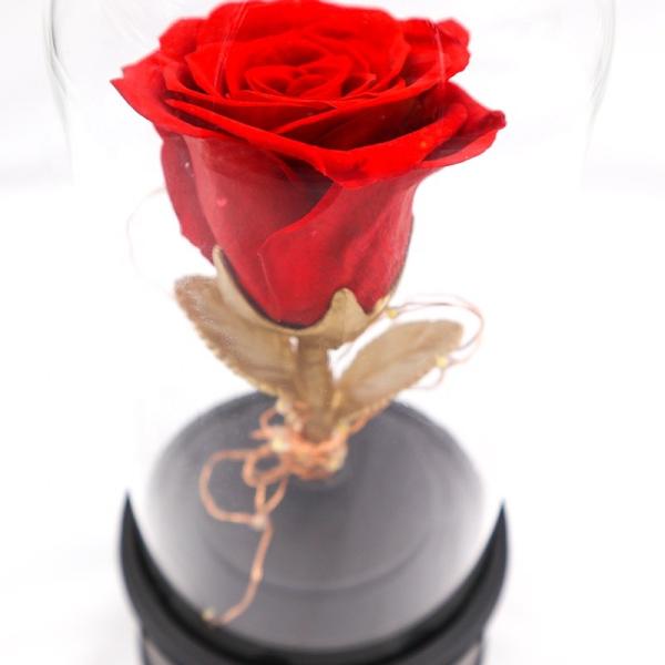 Customized Color Preserved Rose Glass Dome Bluetooth Speakers For Home Decoration
