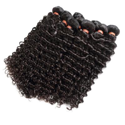 OEM alinhado do cabelo de Remy do Virgin do Weave do cabelo cutícula malaia não processada disponível