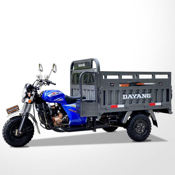Cargo Supply Motorized Tricycles Van Standard Size Three Wheel Petrol Motorcycles