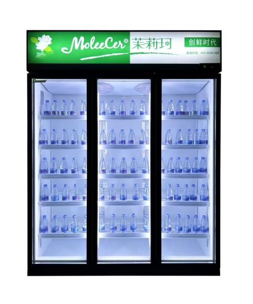 Reach In Refrigerator Commercial Beverage Cooler 3 Glass Door Commercial Upright Refrigerator Energy Efficient