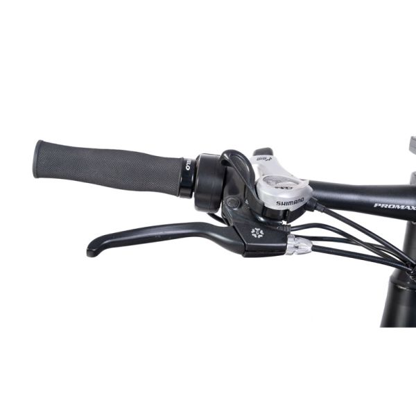Customized Dual Motor Electric Mountain Bike with Central Motor and Max Speed 50km/h