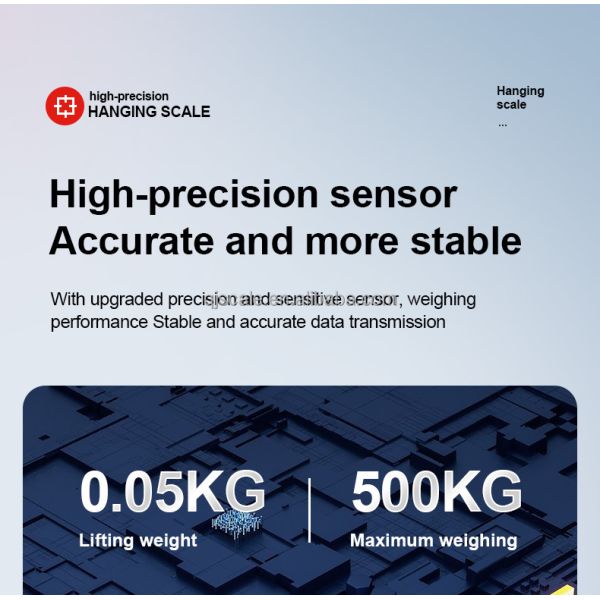 Hanging Scale Digital Electronic 300kg Mini Gram Feature LCD/LED Display Tare Function for Luggage Weighing OEM/ODM