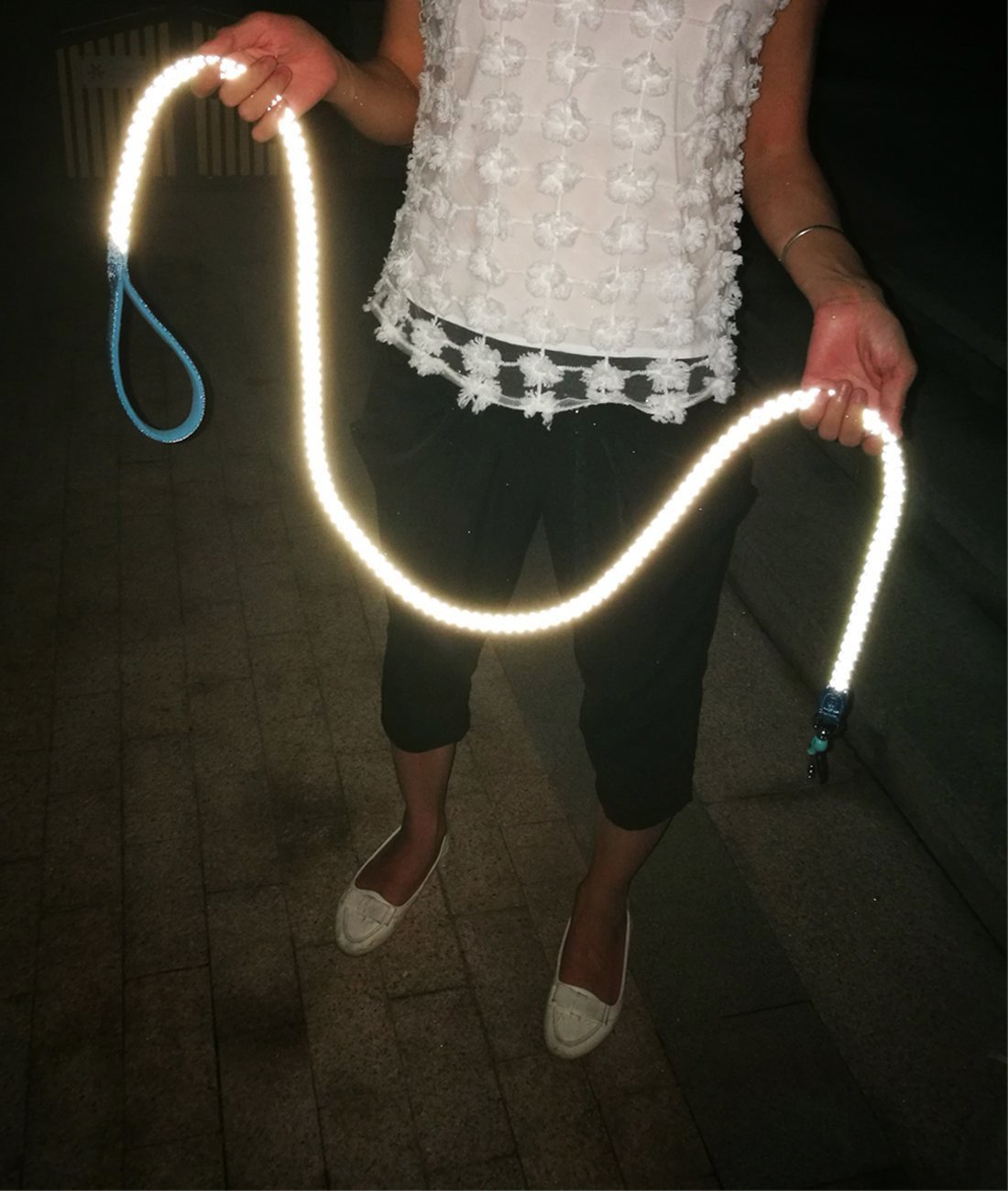 Поводок собаки веревочки нейлона в 6 ног, отражательный поводок собаки для больших/средних собак