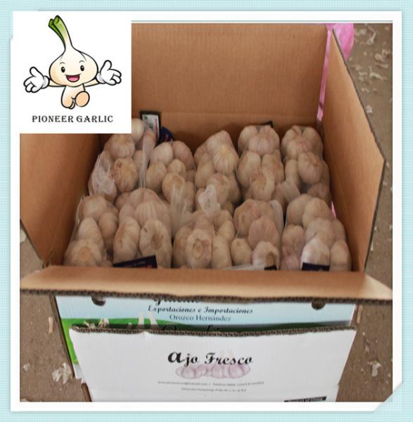 Chinese pure white Garlic China new crop natural fresh solo garlic