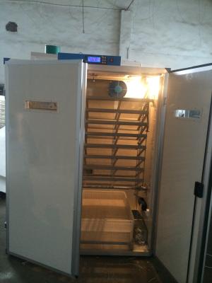 Digital Egg Setter Incubator Hatcher 7956 Quail Egg Hatching Machine