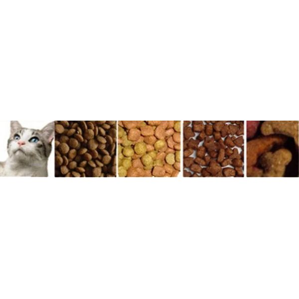 Pet Food & Fish Feed Extruder Machine Baking Processing with Core PLC Motor Component