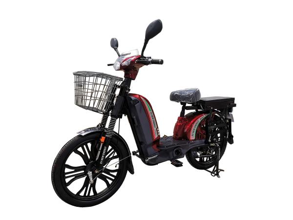 50km High Carbon Steel Adult Electric Bike High Performance E-Bike For Outdoor Activities