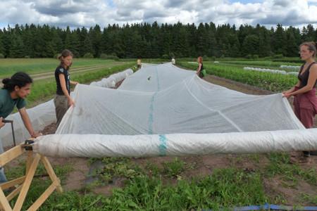 Tela não tecida Degradable 20gsm da agricultura - 100gsm para a raiz ensaca
