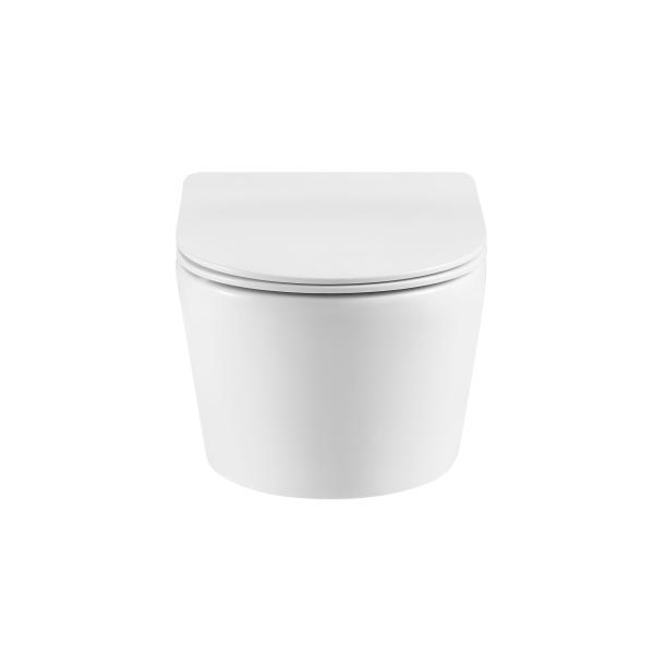 Luxury Sanitary Ware Hot Selling Models Washdown Rimless Flushing Wall Hung Toilets WC