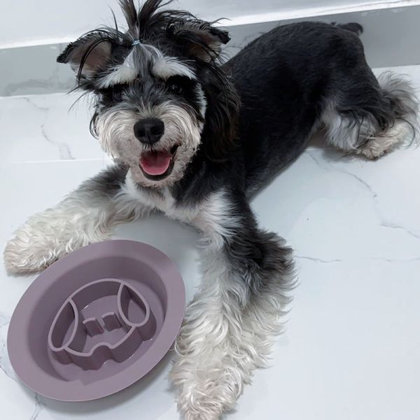 Voltage Not Applicable Silicone Dog Lick Bowl Interactive Slow Feeder Design